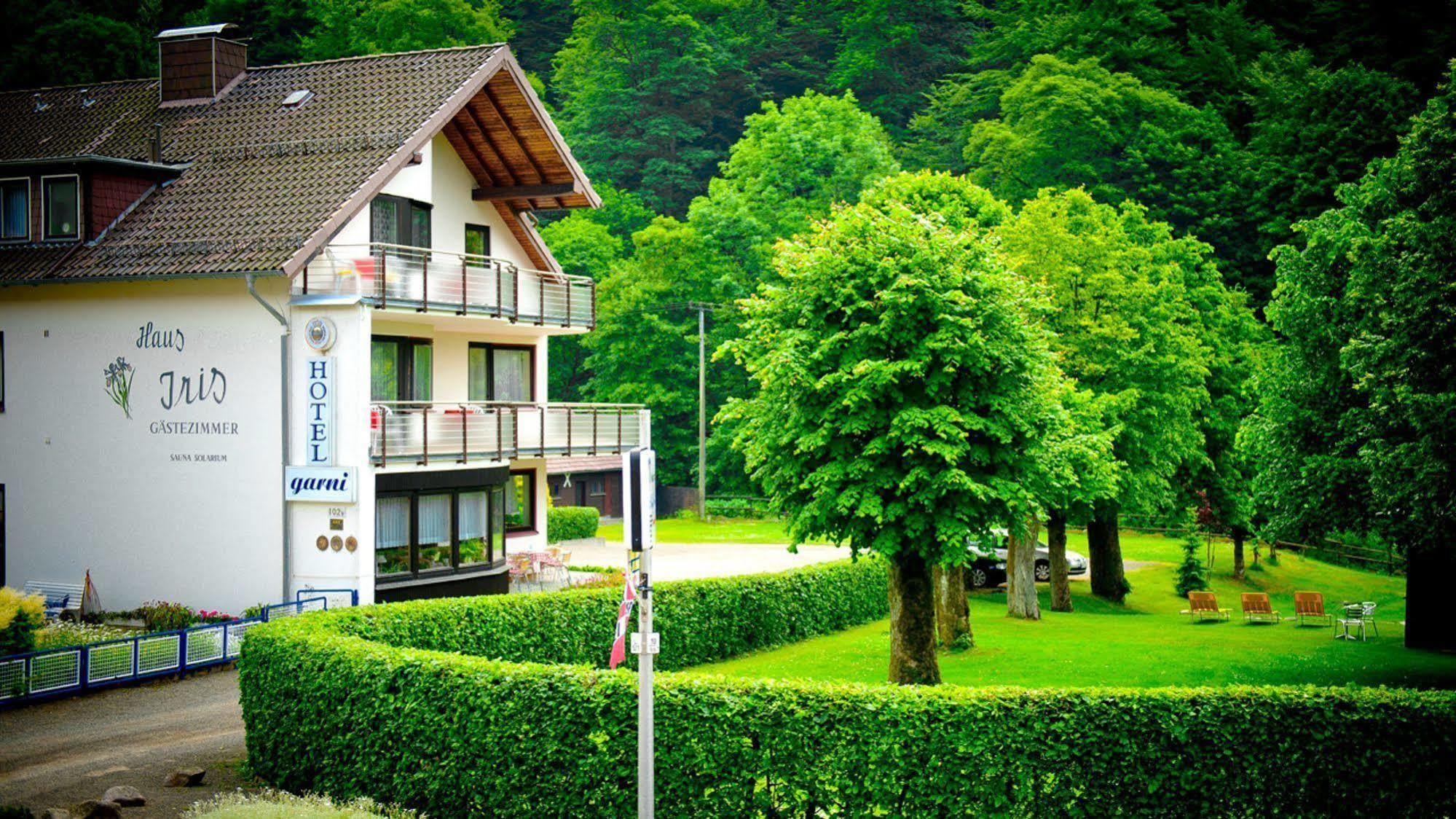 Harz Hotel Iris Sieber Exterior foto